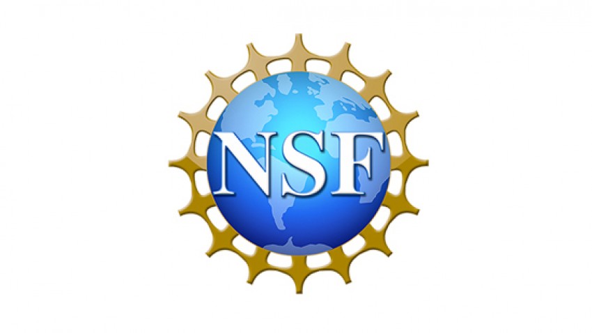 Thirteen early-career professors win NSF development awards