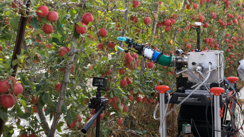 Cornell leads project putting robots to work in US orchards