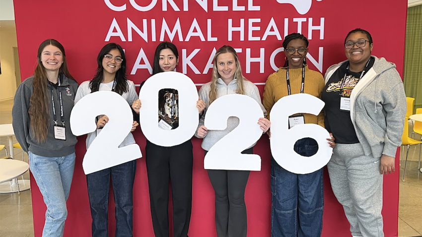 Hackathon winners combat ear infections, parasites and animal overpopulation